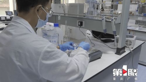 鄭州軟件開發實驗室創新研發 巴適精品綠色毛肚，引領健康美食新潮流